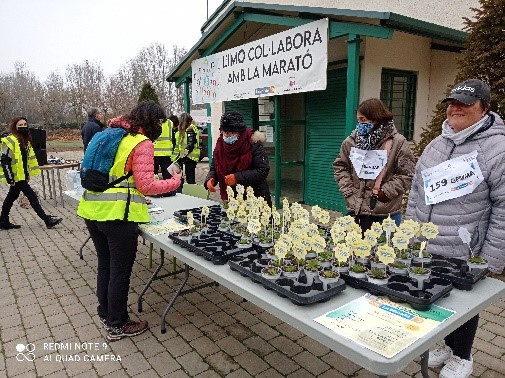 Col·laboració La Marató