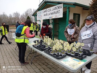 Col·laboració La Marató